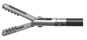 Fenestrat Maryland Grasper